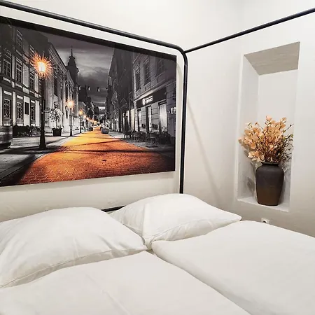 Rangifer * Плзень