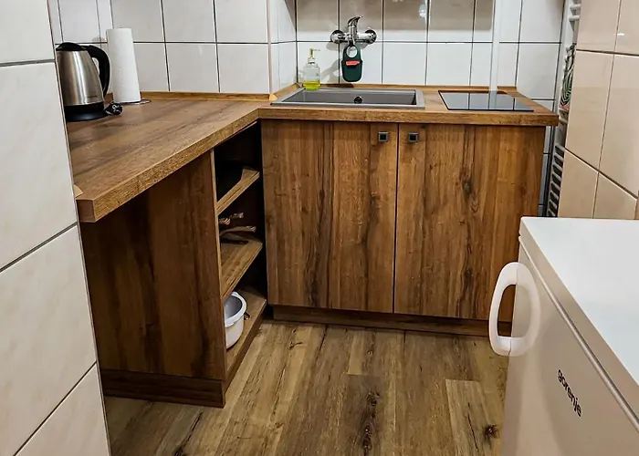 Apartment Rangifer Plzen